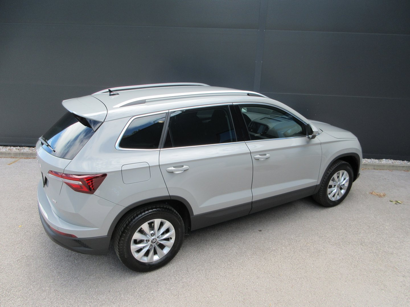 Skoda Karoq 4x4 Selection TDI DSG — photo 9