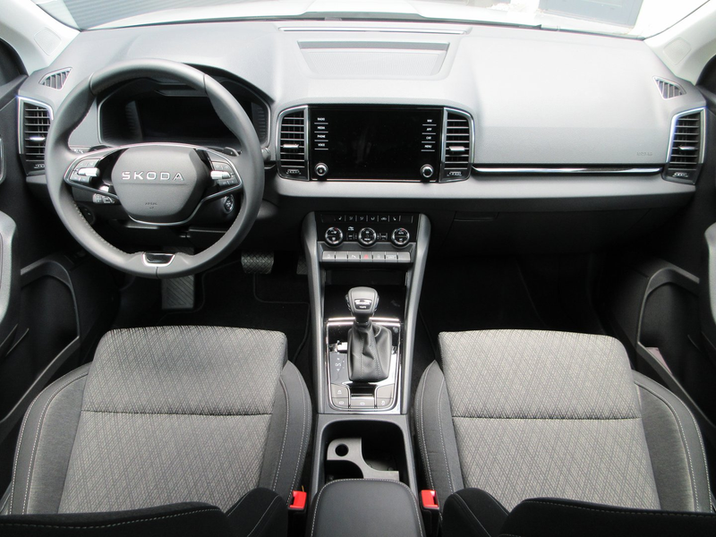 Skoda Karoq 4x4 Selection TDI DSG — photo 13