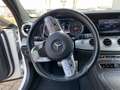 Mercedes-Benz E 400 d 4Matic T AMG Line Luft ACC , 360, Burmester Beyaz - thumbnail 11