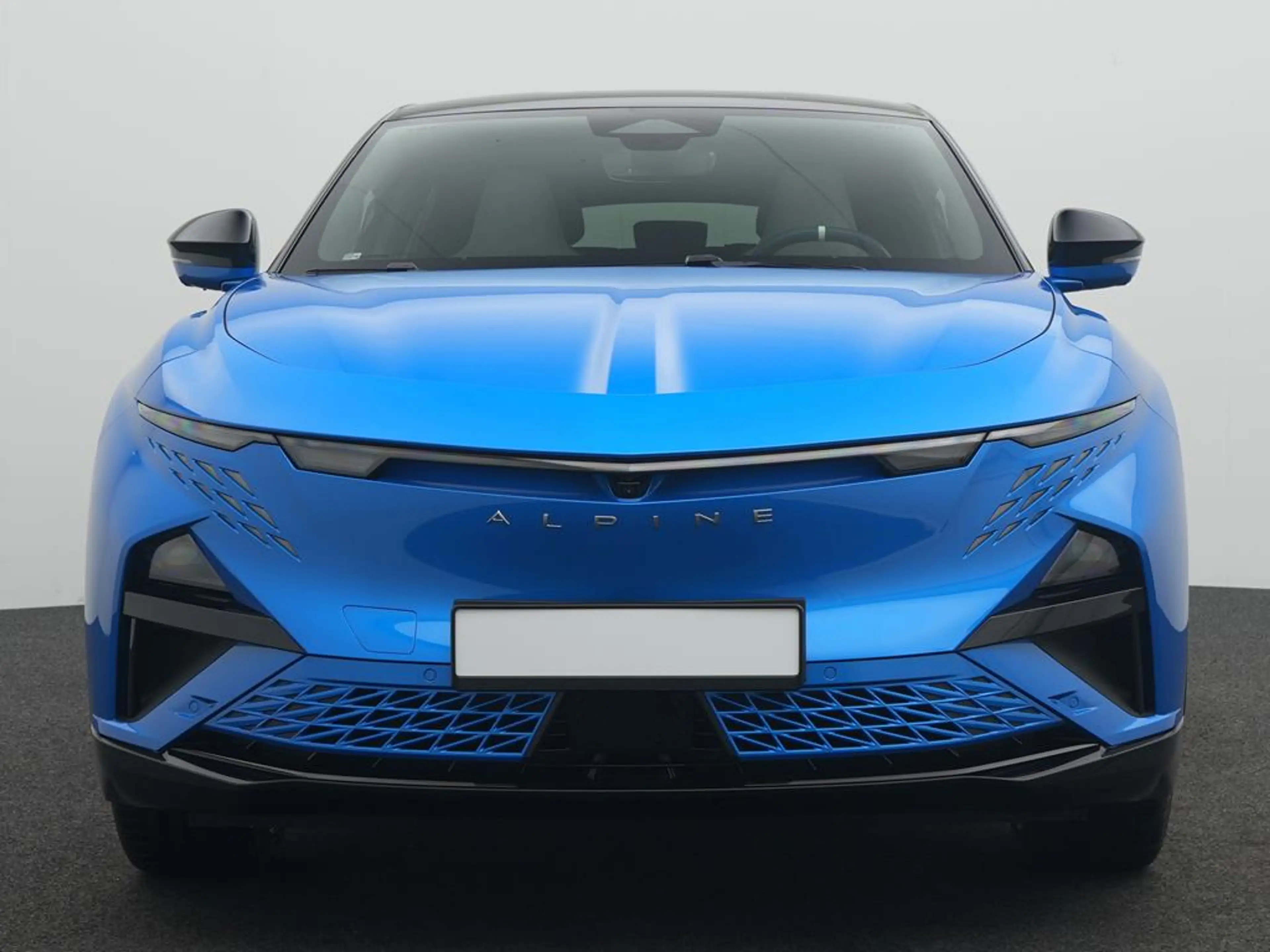 Alpine A390 GT *BLEKER GRUPPE* — photo 3