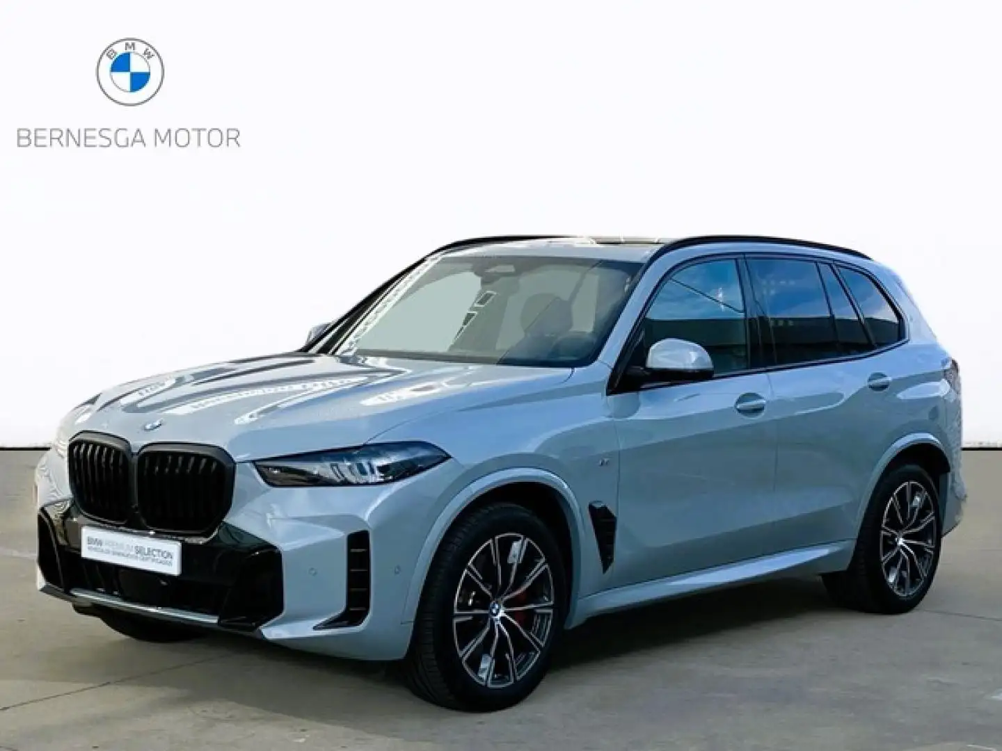 BMW X5 xDrive 40dA Gris - 1