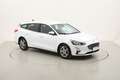 Ford Focus SW Hybrid Business 1.0 Mild Hybrid 125CV Bianco - thumbnail 7