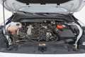 Ford Focus SW Hybrid Business 1.0 Mild Hybrid 125CV Bianco - thumbnail 13