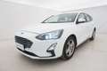 Ford Focus SW Hybrid Business 1.0 Mild Hybrid 125CV Bianco - thumbnail 9