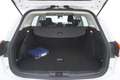 Ford Focus SW Hybrid Business 1.0 Mild Hybrid 125CV Bianco - thumbnail 14