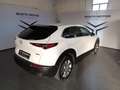 Mazda CX-30 2.0L e-Skyactiv-G 150 CV M Hybrid 2WD Exceed Bílá - thumbnail 6