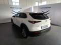 Mazda CX-30 2.0L e-Skyactiv-G 150 CV M Hybrid 2WD Exceed Bílá - thumbnail 4
