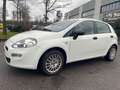 Fiat Punto Punto 1.3 MJT II 75 CV 5 porte*Autocarro* Bianco - thumbnail 2
