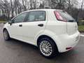 Fiat Punto Punto 1.3 MJT II 75 CV 5 porte*Autocarro* Bianco - thumbnail 8