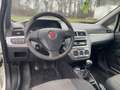 Fiat Punto Punto 1.3 MJT II 75 CV 5 porte*Autocarro* Bianco - thumbnail 11