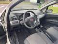 Fiat Punto Punto 1.3 MJT II 75 CV 5 porte*Autocarro* Bianco - thumbnail 10