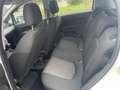 Fiat Punto Punto 1.3 MJT II 75 CV 5 porte*Autocarro* Bianco - thumbnail 14