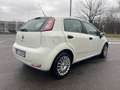 Fiat Punto Punto 1.3 MJT II 75 CV 5 porte*Autocarro* Bianco - thumbnail 6
