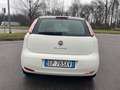 Fiat Punto Punto 1.3 MJT II 75 CV 5 porte*Autocarro* Bianco - thumbnail 7