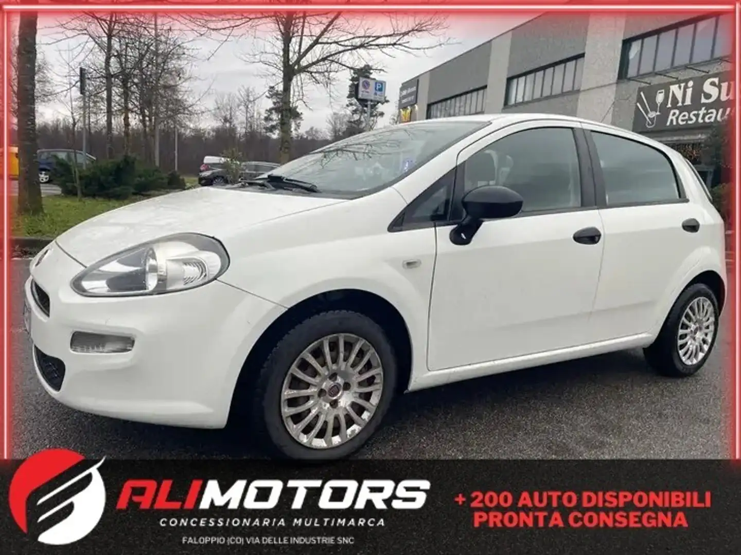 Fiat Punto Punto 1.3 MJT II 75 CV 5 porte*Autocarro* Bianco - 1