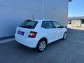 Skoda Fabia Active **GARANTIE** Weiß - thumbnail 16