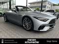 Mercedes-Benz SL 63 AMG AMG SL 63 4M+ PerfSitze+Lift+tartufo+PremiumPlus Silber - thumbnail 12