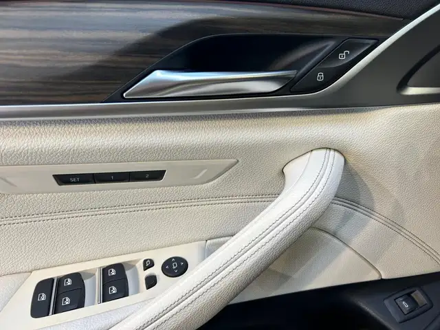BMW 5 Series view 19