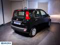 Fiat Panda 1.0 FireFly S&S Hybrid Pop Nero - thumbnail 6