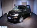 Fiat Panda 1.0 FireFly S&S Hybrid Pop Nero - thumbnail 3