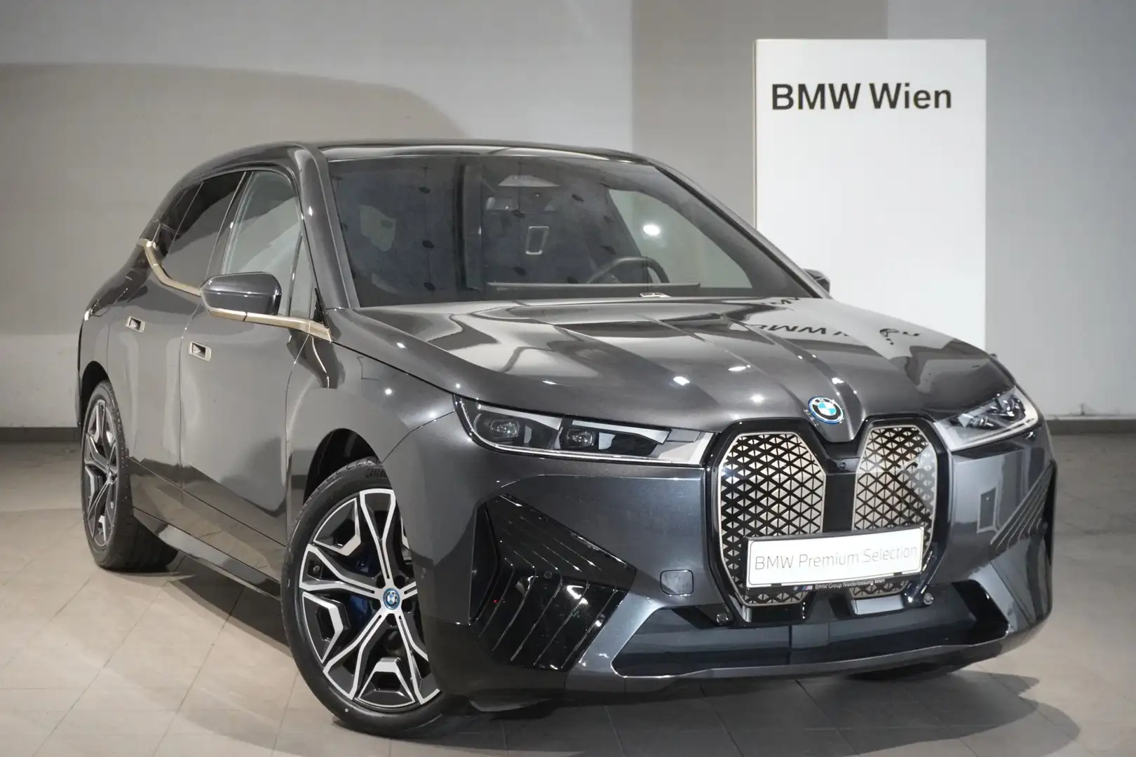 BMW iX xDrive50 Grau - 1