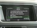 Audi Q5 2.0 TDI quattro intense Grau - thumbnail 20