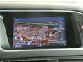 Audi Q5 2.0 TDI quattro intense Grau - thumbnail 19