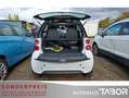 smart forTwo coupe e-drive sale&care Navi Pano SHZ LM - thumbnail 8