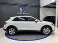 Audi Q3 35 TFSI Advanced Blanco - thumbnail 2