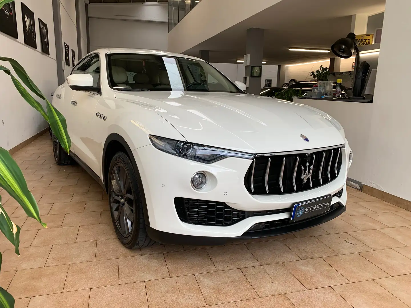 Maserati Levante Levante 2021 3.0 V6 250cv auto IVA Esposta White - 1