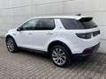 Land Rover Discovery Sport Sport 1.5 P300e Hybrid AWD S 360Kam HeadUp TotwAss Weiß - thumbnail 9