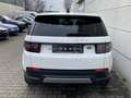 Land Rover Discovery Sport Sport 1.5 P300e Hybrid AWD S 360Kam HeadUp TotwAss Weiß - thumbnail 10