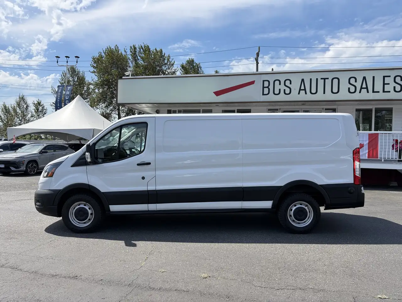 Ford Transit Cargo Van fotografie Ford Transit Cargo Van