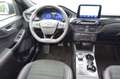 Ford Kuga Plug-In Hybrid ST-Line X - 2,5PHEV Blau - thumbnail 12