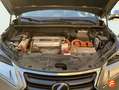 Lexus NX 300 300h Business 2WD Gris - thumbnail 19