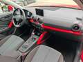 Audi Q2 30 1.6 TDI design S line LED Navi Pano Rot - thumbnail 15