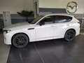 Mazda CX-60 3.3L e-SKYACTIV D 254ps 8AT AWD Homura COSO Weiß - thumbnail 2