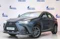 Lexus NX 350h Business 2WD Gris - thumbnail 10