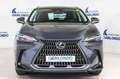 Lexus NX 350h Business 2WD Gris - thumbnail 2