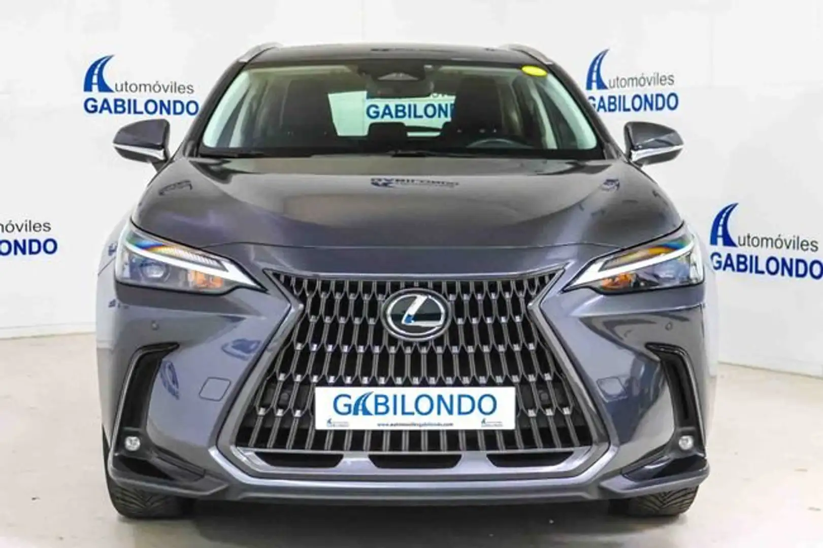 Lexus NX 350h Business 2WD Gris - 2