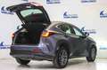 Lexus NX 350h Business 2WD Gris - thumbnail 19