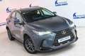 Lexus NX 350h Business 2WD Gris - thumbnail 14