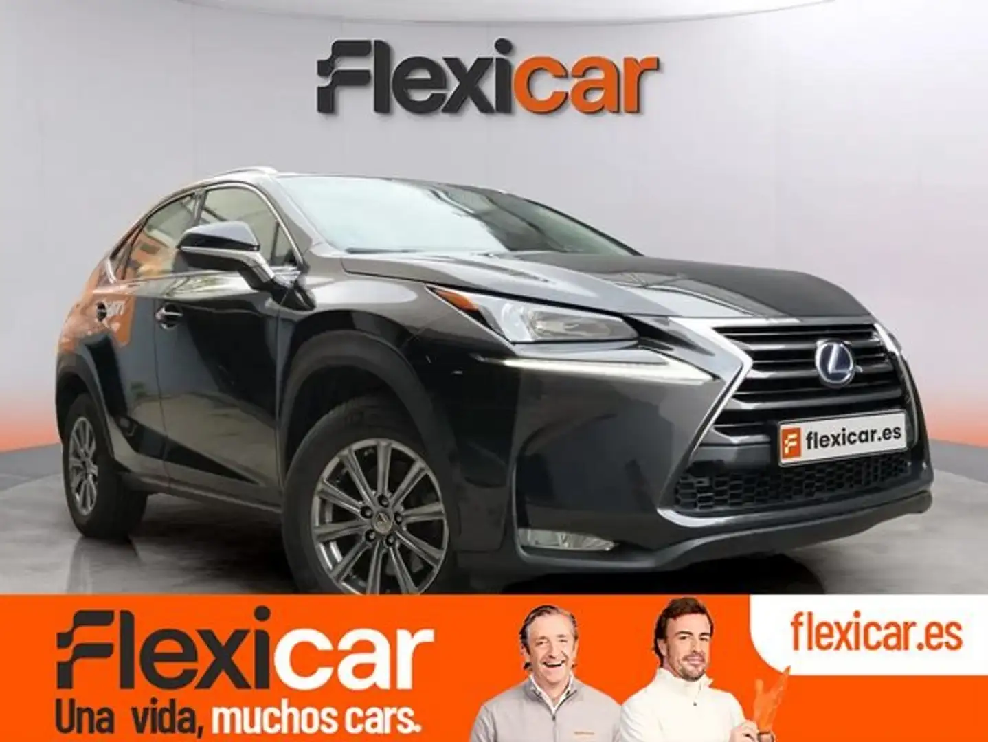 Lexus NX 300 300h Business Navigation 2WD Gris - 1
