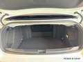 Volkswagen T-Roc Cabrio 1.5 TSI STYLE DSG BLACK NAV MATRIX Weiß - thumbnail 13