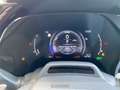 Lexus RX 500h 500h 2.4 hybrid turbo f-sport+ 6at Grau - thumbnail 20