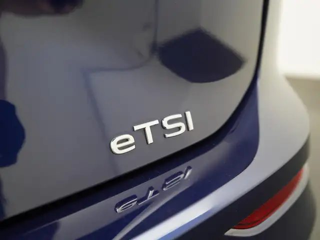 Volkswagen Golf view 24
