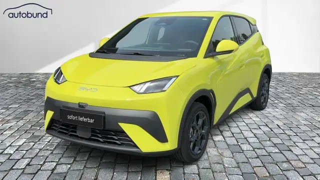 BYD Dolphin Surf