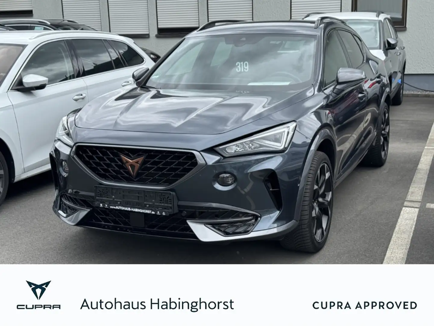 CUPRA Formentor 1.5 TSI DSG ACC LED PDC Klima Navi Shz Kessy LM Gris - 1