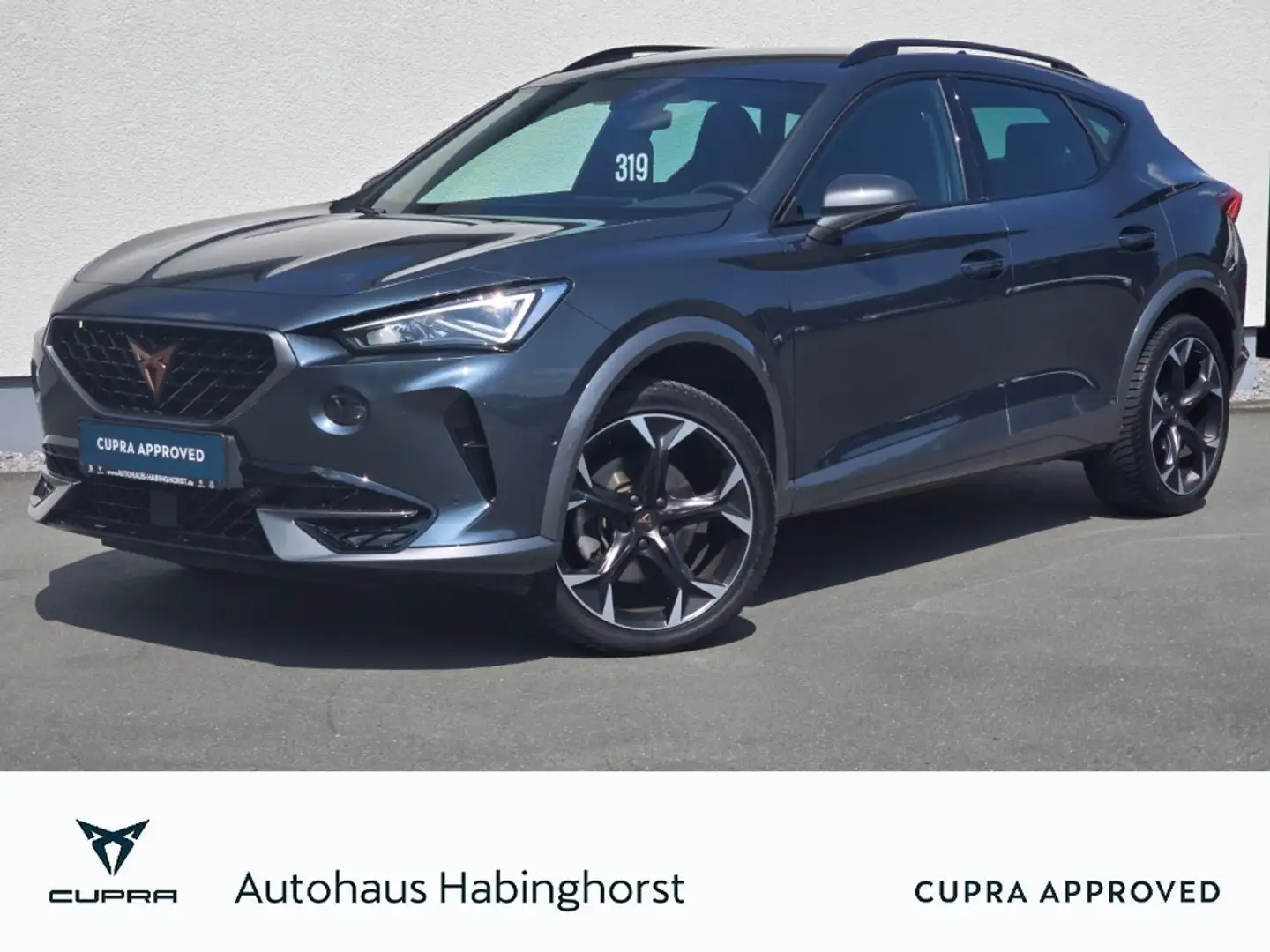 CUPRA Formentor 1.5 TSI DSG ACC LED PDC Klima Navi Shz Kessy LM Gris - 1