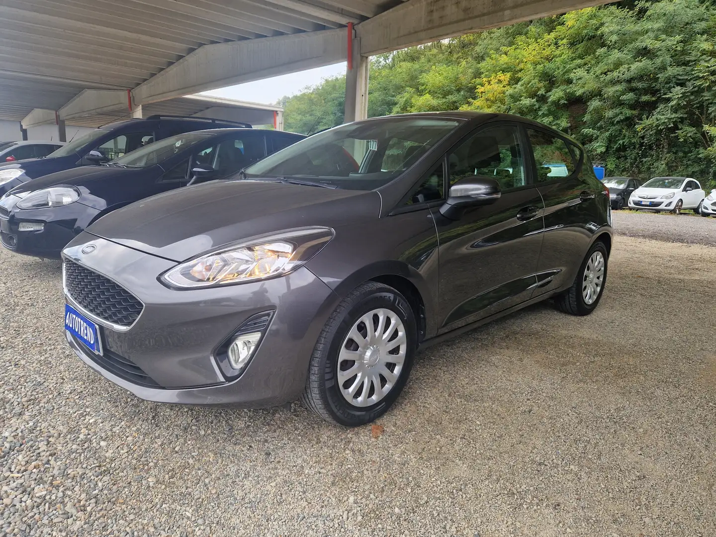 Ford Fiesta Fiesta 5p 1.5 ecoblue Vignale 85cv my19.5 Grigio - 2